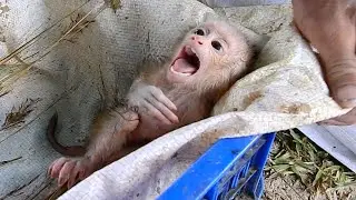 A Villager Asked Mom & Dad To Adopt The Skinny Orphan.