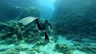 Freediving Temple Reef in Sharm el Sheikh - Deep Zen Freediving - Freediver: Andy (DK)