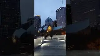 BP Pedestrian Bridge: Maggie Daley Park