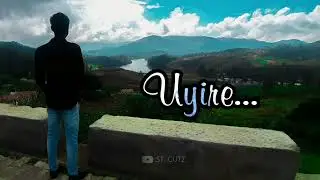 Viralukal Cherathe | Aayiram Chiraathukal | Oru Adaar Love | Omar Lulu | Shaan Rahman | .ST Cutz