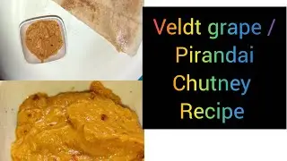 Let's make healthy Recipe | Medicine plant | veldt grape | Pirandai chutney  | Sowndhar cookery