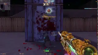 CSNZ  AWP Elven Ranger review