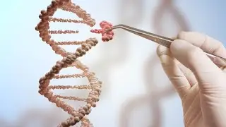 The dilemma of human genetic engineering (10 min video)