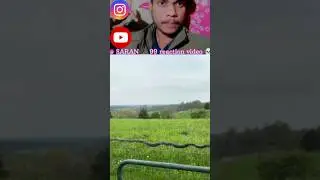 moments of nature, featuring snakes and other wild animals. Watch their daily life, hunting,