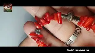 المرجان الأحمر 