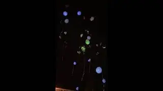 LongLive23