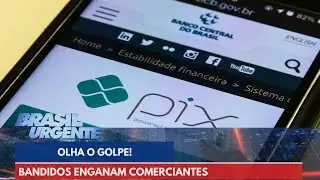 Golpe do falso Pix: bandidos usam aplicativo para enganar comerciantes | Brasil Urgente