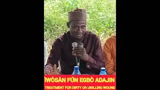 Iwosan fun egbo adajina by Dr. Musharaf Aderogba