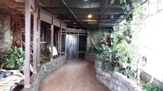 Indoor Aviary for small birds such as Finches and Canaries