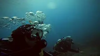 Isole Tremiti con Acquatica Scuba. 2024