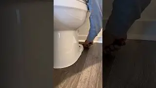 🚽💧Leak at Toilet Base? Replacing the Wax Ring Solved It