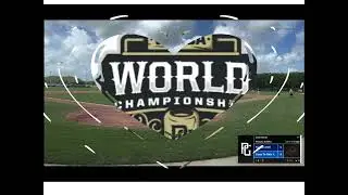 Oliver Martin. PG WWBA FLORIDA 2025. All Tournament Team (Batting).