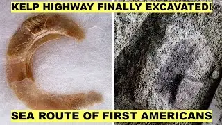 First-Ever Study of the Kelp Highway Reveals Groundbreaking Evidence