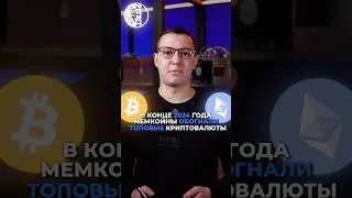 Мемкоины - за или против? #майнеры #асики #майнинг #pitbit #мемкоины #крипта #dogecoin #memcoin