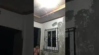 Moth attack in the Philippines 🤢#shorts #betashorts #philippines