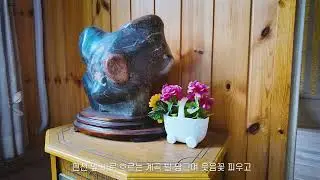 양구 곽골약수펜션