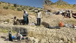 Nomads migrate to the cold |   Nomadic life in the heart of nature
