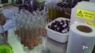 Aceite de oliva con pimenton, Olive oil with paprika
