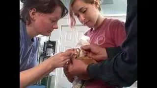 Falcon Bandage Change