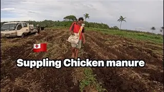Еще один рабочий день в Тонга 🇹🇴
