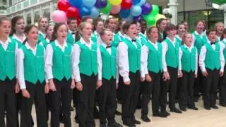 RT&Eacute; C&oacute;r na n&Oacute;g | Culture Night 2015 | RT&Eacute;