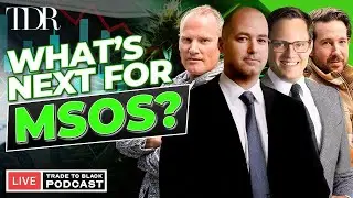 MSOS ETF: 18 Days of Inflows + Psilocybin Rescheduling Ahead?  | TTB Powered by Dutchie