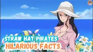 Secret Daily Lives of the Straw Hat Crew - Hidden One Piece SBS Facts You Never Knew!