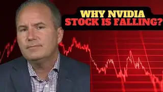 NVIDIA STOCK PRICE TARGET CUT? Analysts React to 3% Slide | AI News | CNBC | NVDA