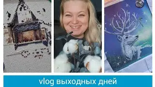 Vlog выходных дней. Зимние работы.