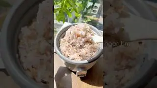 What even is &ldquo;Korean rice&rdquo;?