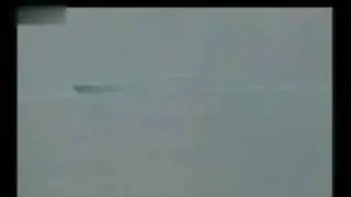 Lake monster found in China