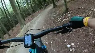Hare and Hounds - Stoughton Downhill MTB