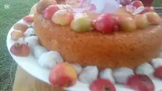 Aladdin cake s