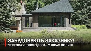Хто проклав дорогу і звів будинок у лісі на Любешівщині?