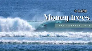 G-land | money trees | 26th september 2025