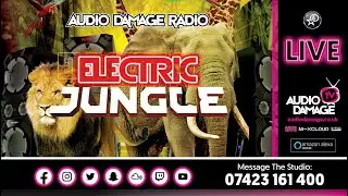 The Yorkshire Batman - Electric Jungle (Old Skool Jungle) LIVE Audio Damage Radio 9 -10pm (09.01.26)