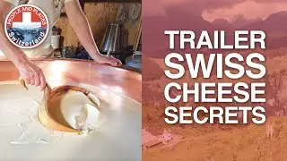 Stories of organic alpine cheese, unexpected calves and real happiness
