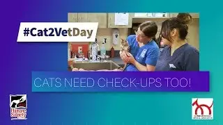 #Cat2VetDay -- Cats Need Checkups too!