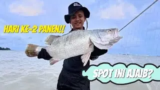 SPOT INI GAK HABIS-HABIS! Lanjut Strike Barramundi Jumbo di Sore Hari