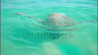 happy girl in a swimming mask emerges from the clear sea water, looks into the camera and smiles