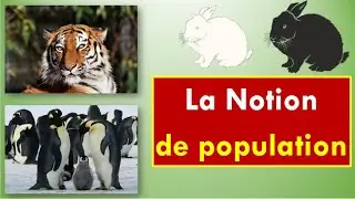 La Notion de Population
