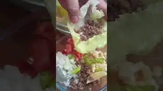 #shorts ; WRAPPED MINCED PORK /Shawarma inspired #food #foodie #mycooking #satisfying #ytchannel