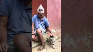 Hamro Ba // बा अनि बिरालो #shorts #aama