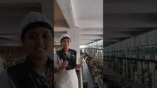 GOPAL SNACKS LTD (WOMENS ARE TREATED AS GODDESS)