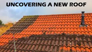 My best roof cleaning transformation this year!