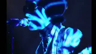 PRINCE - Peep the Technique + Martial Law [Only Per4mance - Live Audio]