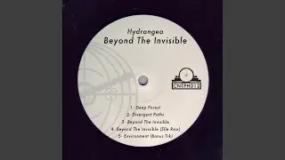 Divergent Paths (Original Mix)