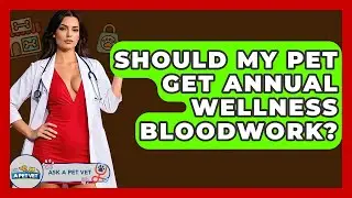 Should My Pet Get Annual Wellness Bloodwork? - Ask A Pet Vet