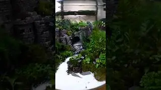 Создайте живую средневековую экосистему