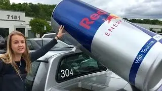Red Bull Mini Cooper: за кулисами / 30 дней показов и рассказов